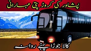 Yutong Master Bus | Business Class Bus | Karachi to Peshawar | Al Munawar Express | Bus Review