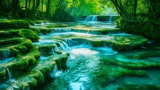 Soothing Music and Sound of Stream Relieve Stress, Anxiety and Depression