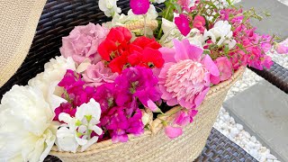 PICKED PINK, CORAL & WHITE FLOWERS TODAY | Snapdragons , Sweetpeas | Peonies & Roses 💗🌸🌹🤍