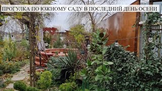 ПРОГУЛКА ПО ЮЖНОМУ САДУ в последний день осени (30.11.2022)САД ЦВЕТЕТ