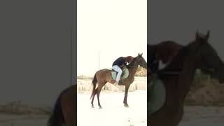 dumping yard horse riding #mrsaiffu01 #viral #dumpingyard #explore #youtubeshorts #trending