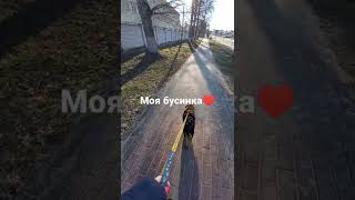 #моябусинка♥️