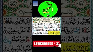 Surat Tin || Surat at Tin || At Tin Surah || Watini Wa Zaitun || E Islamic Channel