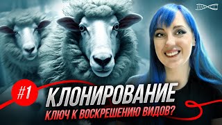 Руки прочь от овечки Долли! Лекция Анны Ивановой