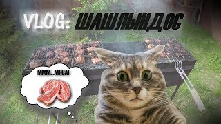 VLOG: Как мы в дождь шашлык жарили. Влог: Пожарили сосиски и мясо на решетке - мы летим на шашлындос