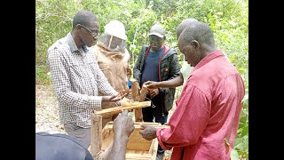 Visite guidée des champs D'apiculture de Khady Badji à Bignona..