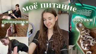 моё питание и тренировки + простые рецепты | заказ на wildberries | покупка продуктов | учёба