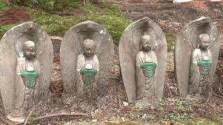 Koyasan (Japan) Unforgettable visit of a sacred site