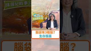 腦袋有3種腦？生存腦篇～完整版請看【侏羅紀時事公園 EP9】#方識欽醫師