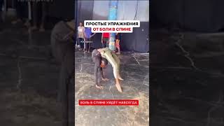 Упражнения от боли в спине 🙉 #прикол #юмор #шортс #shortsvideo #спина #упражнения #shorts