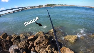 Pre Cold Front Snook Bite (Rock Fishing)