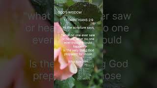 🟥🙏😍💖1 CORINTHIANS 2:9🔻 ❤️🕊️❤️🔺GOD'S WISDOM 🔻🥰💓🙏🟥