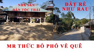 Bỏ Phố Về Quê Hít Thở Không Khí Trong Lành TRÁNH XA COVID | Đất Rừng Rẻ NHƯ CHO | Quê  Mr Thức P1