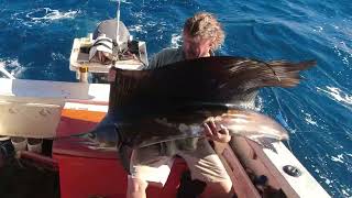 Sailfish one of the most spectacular fish to catch. #fishing #pilbara #Sailfish #ningaloo #fish