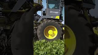 Ropa Tiger 6: Transforming Ukraine’s Beet Fields