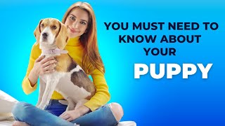 10 facts about dogs | top 10 | dogs | facts | you must need to know...