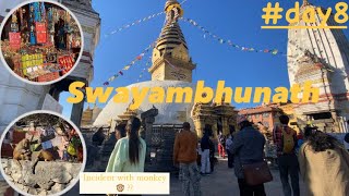 Episode:8 || Swayambhunath Vlog || 8/30 days