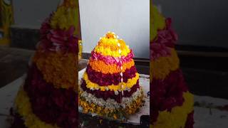 Saddula bathukamma 🚩👏🌺💐🌸🥀🌷🌻🏵️💮2024 # Shorts