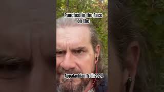 Punched in the Face by That Moody Friend on the Appalachian Trail 2024