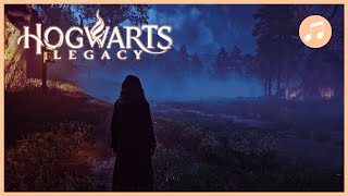 HOGWARTS LEGACY Swamp Vivarium Piano Music + Ambience | Contemplation | 8 HOURS