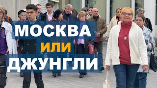 Москва или джунгли