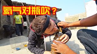 吸入氦气后来段freestyle是种什么样的体验？