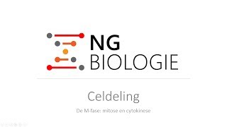 Celdeling - mitose - HAVO/VWO