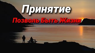 Принятие. Позволь Быть Жизни