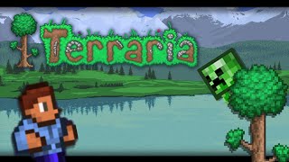 What people think Terraria is like | Terraria shorts