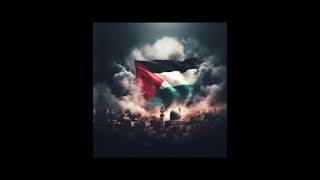 Save Palestine save Gaza|Stop genocide| support Palestine_ support Gaza