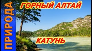 Катунь. Горный Алтай.