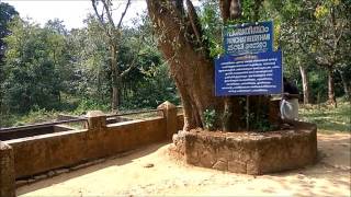 THIRUNELLI LORD MAHAVISHU TEMPLE AND PAPANASSINI