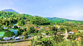 ASLI BIKIN BETAH PEDESAAN SEJUK YANG INDAH_Pedesaan Berjo Di Lereng Gunung Lawu