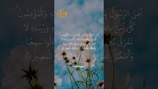 تلاوة جميلة من سورة البقرة الآية 285 بصوت القارئ مشاري راشد العفاسي #حالات #فولو #quran #shorts