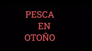 PESCA DE UN VIERNES DE OTOÑO 2024