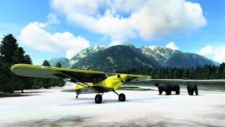 Bush Flying with BLACK BEARS in British Columbia | Microsoft Flight Simulator 2020