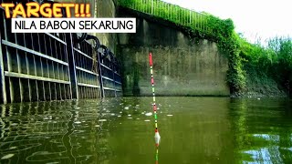 Meski banyak Yg mancing!!,, Spot Pemancingan banyak ikan - Nga Bakal Habis kecuali...!