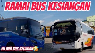 Edisi Hunting Pagi, Ramai Bus Kesiangan Dan Banyak Bus Bantuan