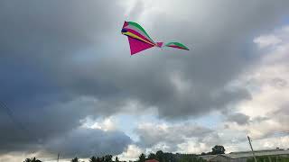 BIG KITE FOR  BIG GUY