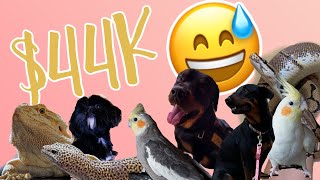 GASTÉ $44 MIL PESOS 😰| ¿Cuanto CUESTA mantener a mis MASCOTAS? 🐶🐍🦜💕