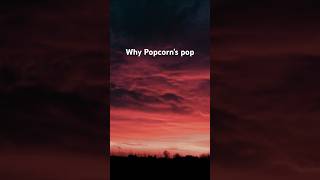 Why do Popcorn's pop🍿🍿#shorts