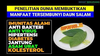 RAHASIA DAUN SALAM, TANAMAN HERBAL ALAMI SEBAGAI ANTI VIRUS, ANTI BAKTERI DAN MENINGKATKAN IMUNITAS