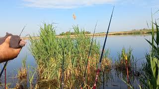 рыбалка на шикарном водоёме