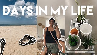 vlog | beach day, being alone + Trader Joes & Target haul