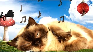 Música para Gatos maullando o inquietos 🐱 Su Gato Duerme rápidamente con esta canción 💤 2022