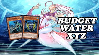 BUDGET WATER XYZ - [Yu-Gi-Oh! Duel Links]