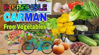 Canada Community Pantry | Free Vegetables for Carman Community