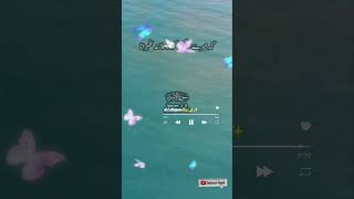 Tilawat e Quran Urdu tarjuma