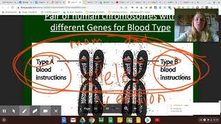 Unit 14 Genetics 1 Part D: Genes