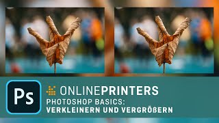 In Photoshop Bilder verkleinern und vergrößern – Basics Tutorial